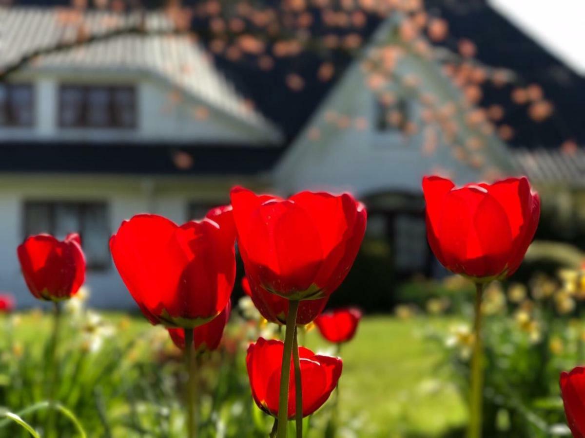Landhaus Haack Tümlauer-Koog Kültér fotó